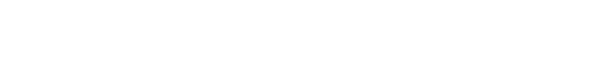Michigan Electrical Authority